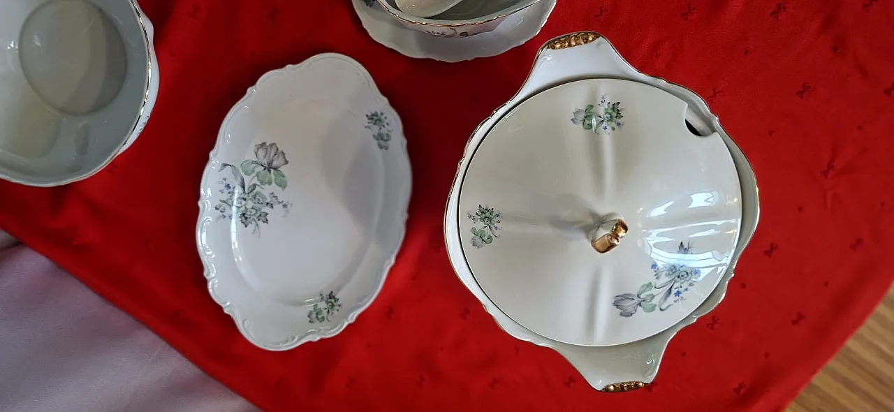 Servizio piatti porcellana Mitterteich Bavaria Regina, fine '900 5