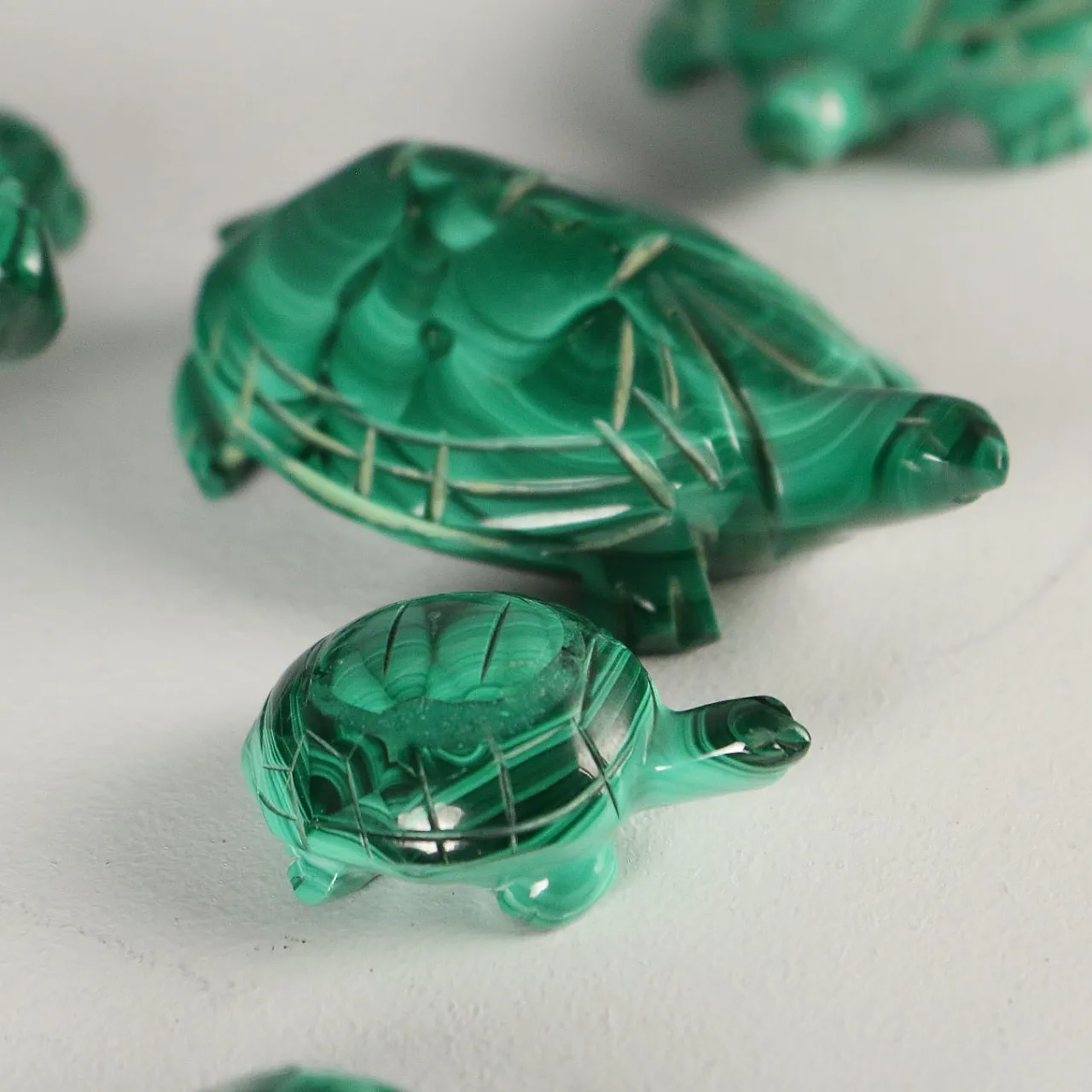 12 Tartarughe in malachite, '900 5
