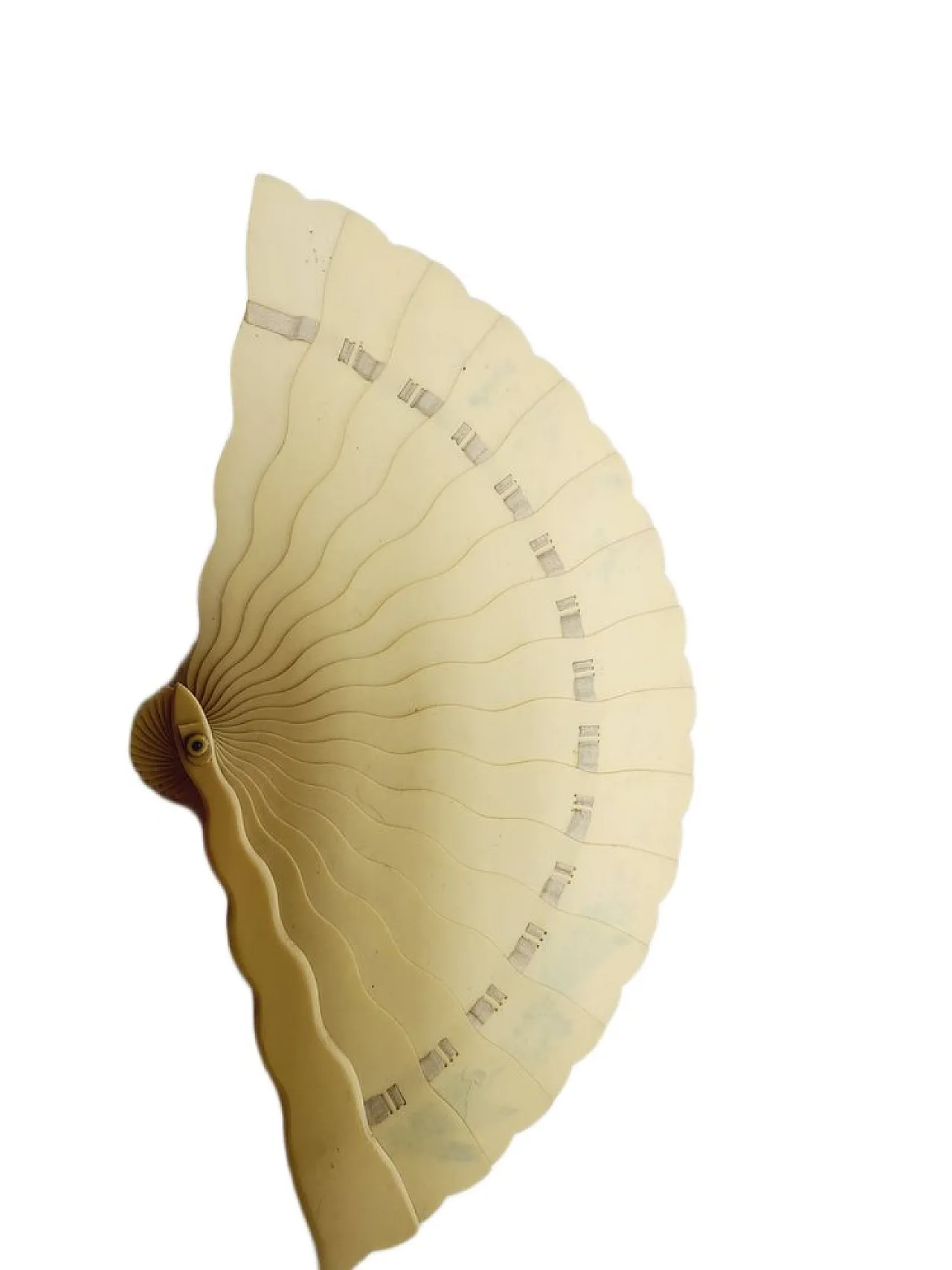 Austro-Hungarian Art Nouveau Celluloid Fan, 1900s 4