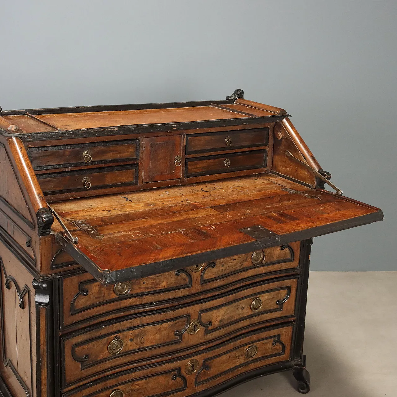 Flap in walnut and walnut burl with ebonized details, 18th century 3