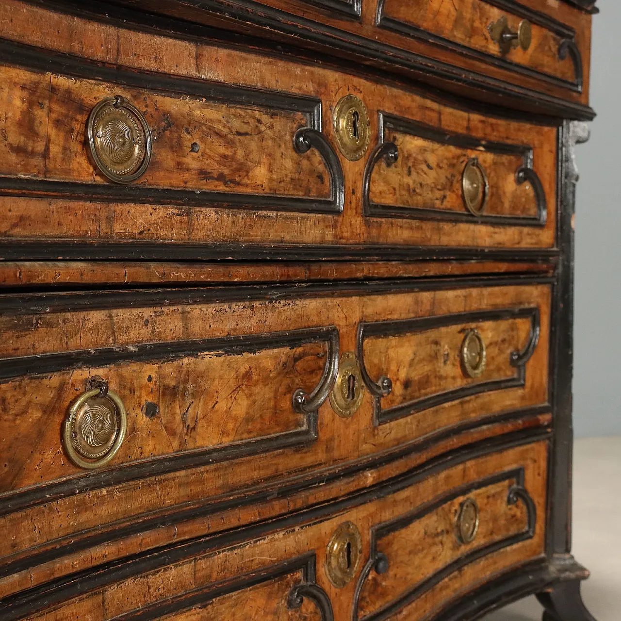 Flap in walnut and walnut burl with ebonized details, 18th century 10