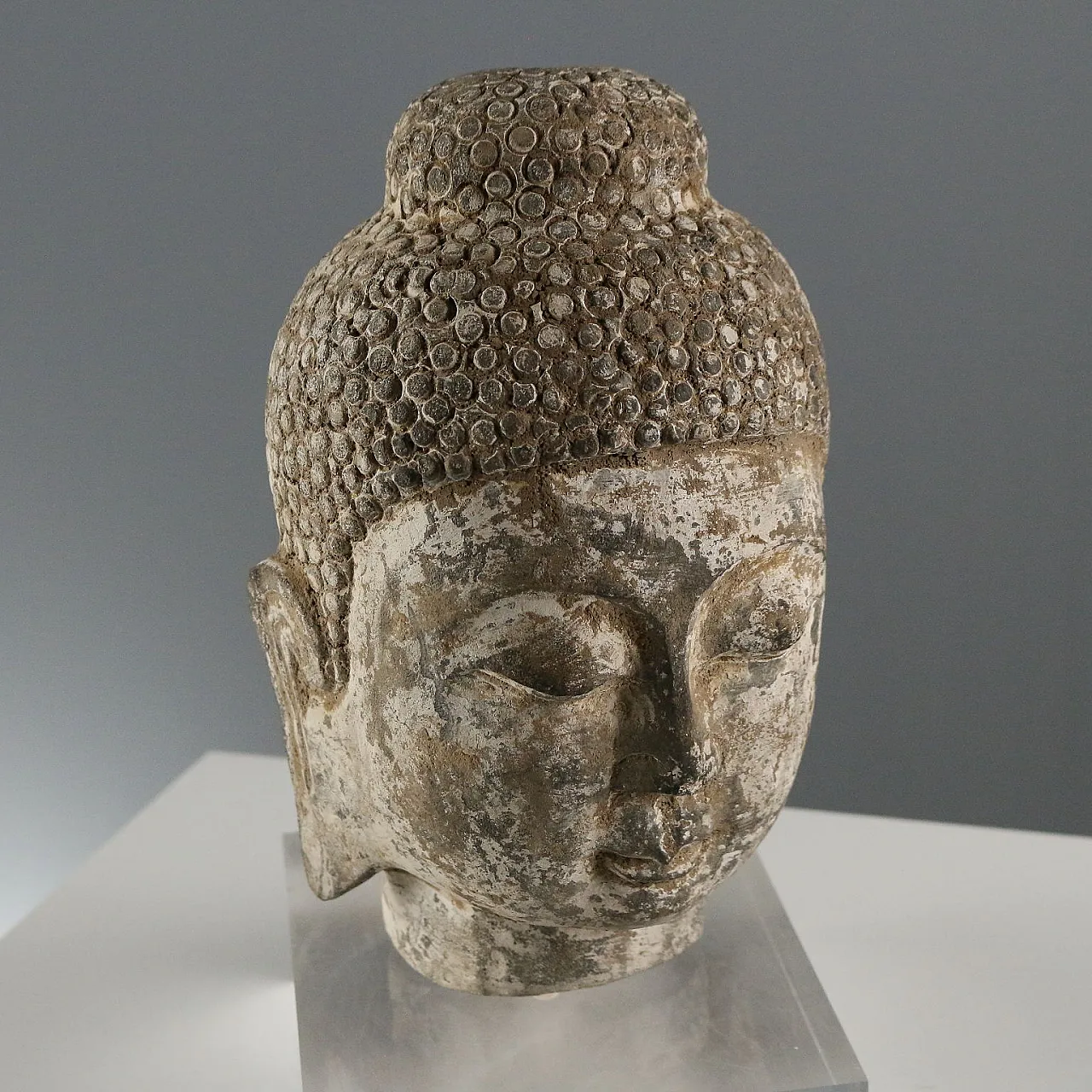 Testa di Buddha, scultura in pietra, '900 4