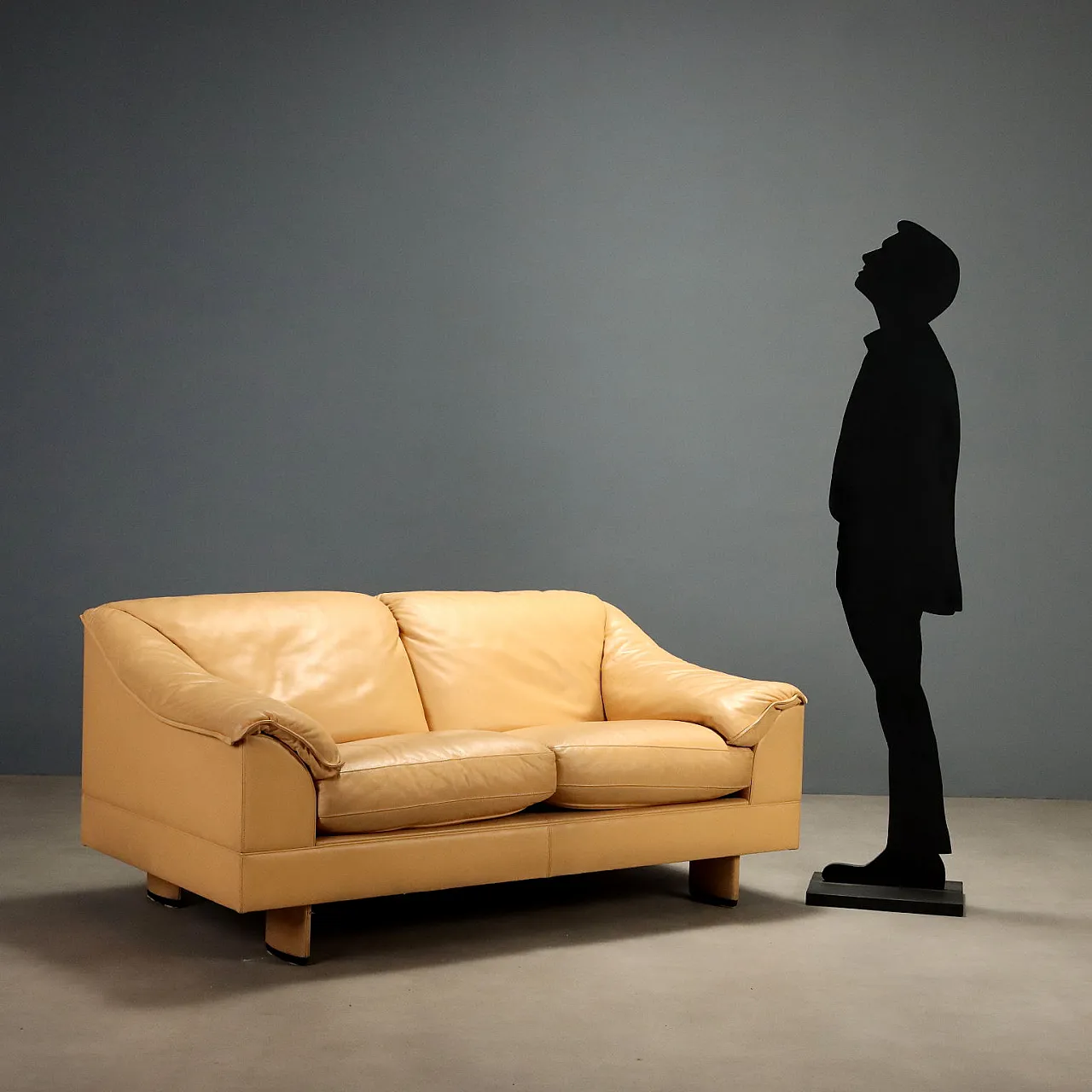 Serenade sofa by Tito Agnoli for Poltrona Frau, 1980s 3