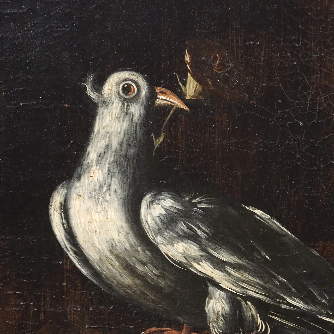 Still Life with Flowers and Birds, oil on canvas, 17th century 4