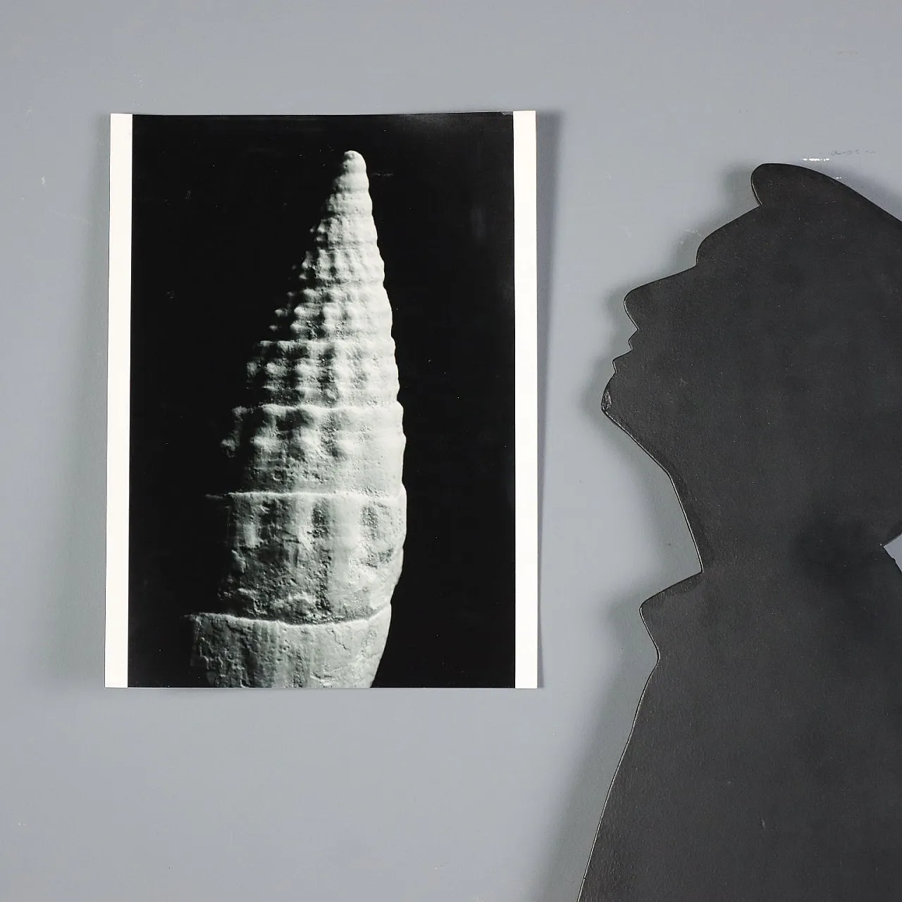 8 Photographs by Nicoletta Giordano, 20th century 2