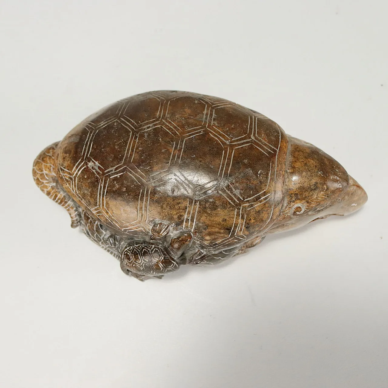 4 Dragon turtles, 20th century 5