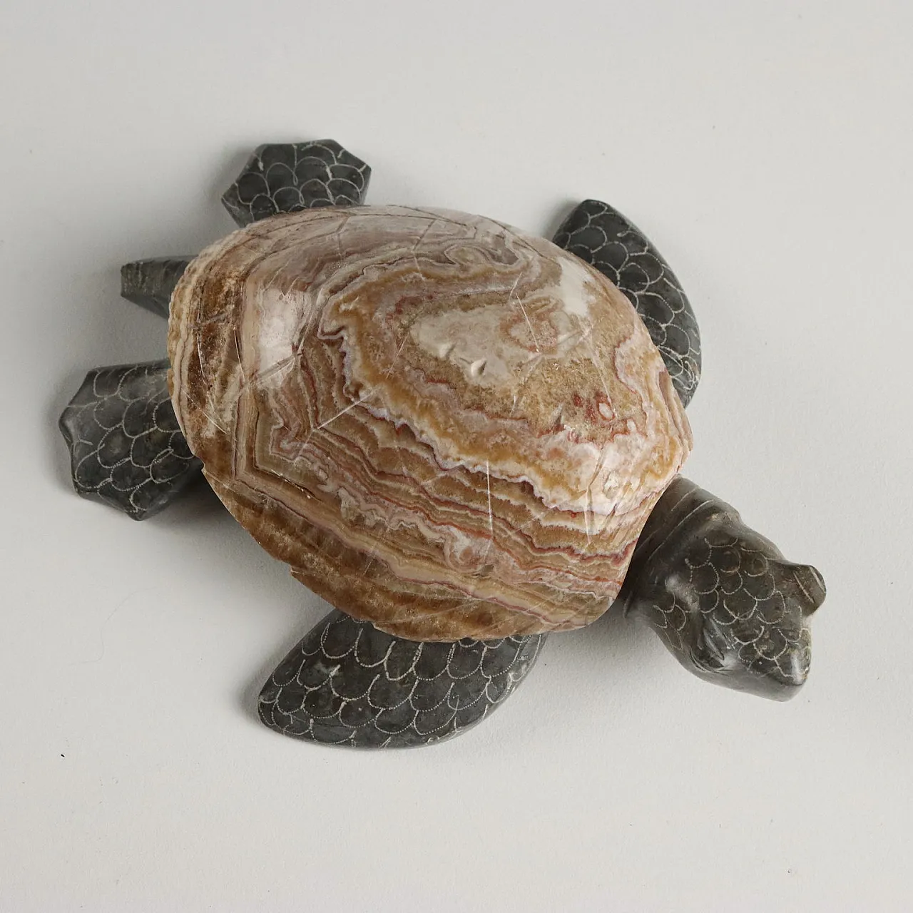12 Stone Turtles, 20th century 5