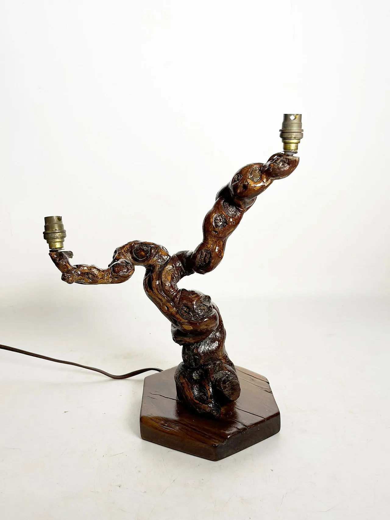 Piccola lampada da tavolo a radice, anni '50 2