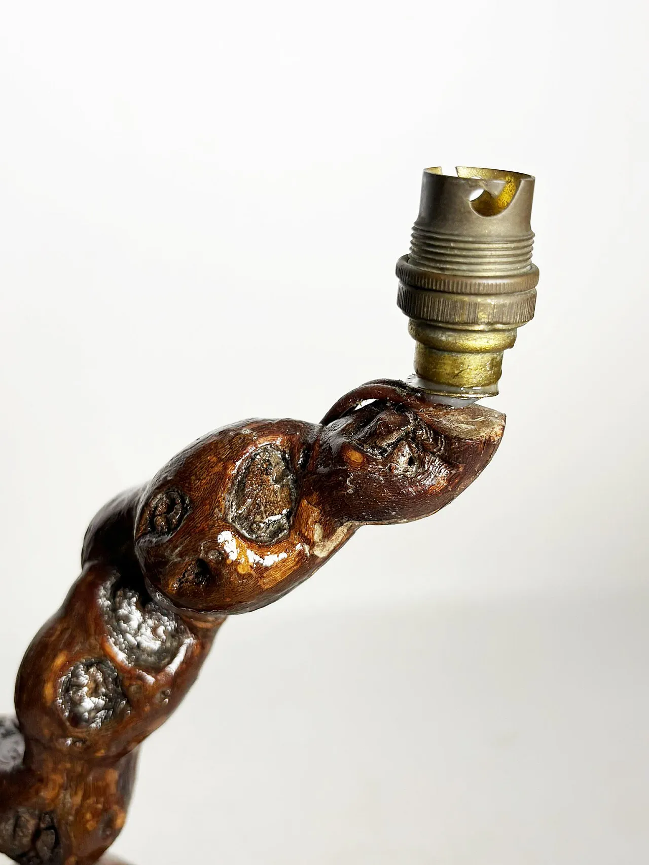 Piccola lampada da tavolo a radice, anni '50 4