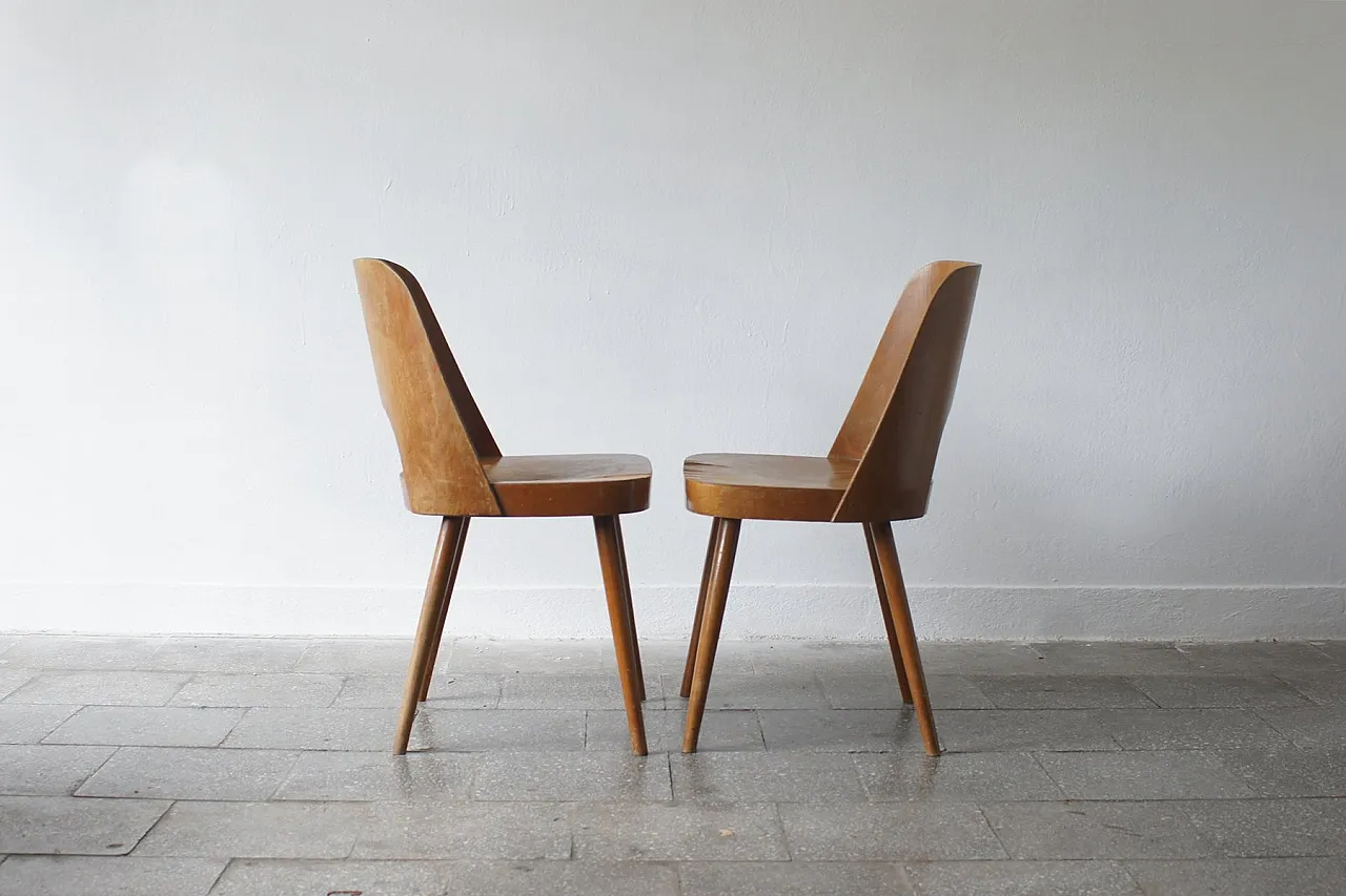 Pair of 515 chairs by Oswald Haerdtl for Ton, 1950s 2