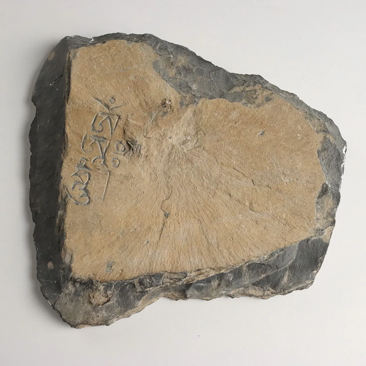 Stone hands of Avalokiteshvara God of Compassion, 20th century 9