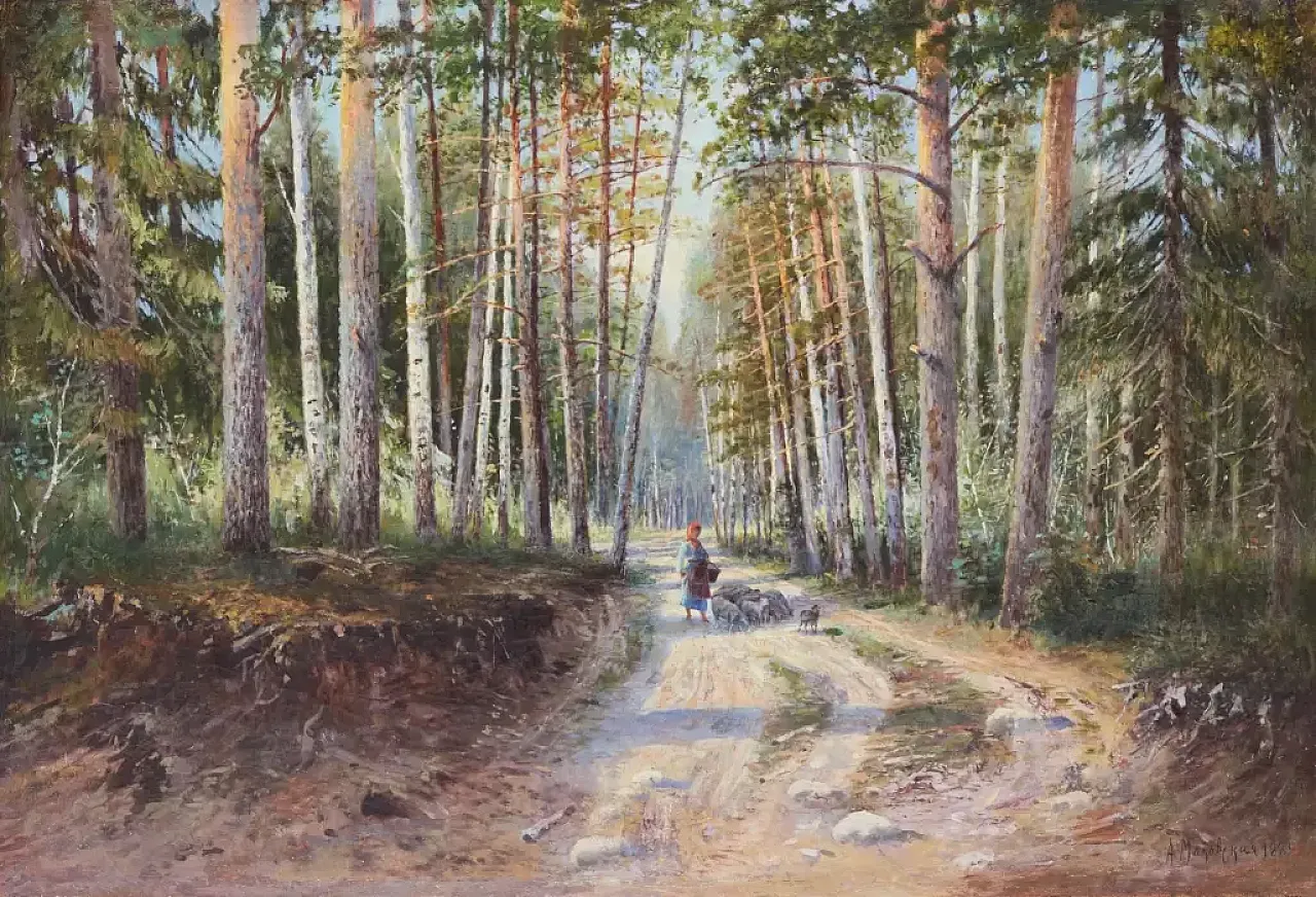 Strada forestale paesaggistica, '800 3
