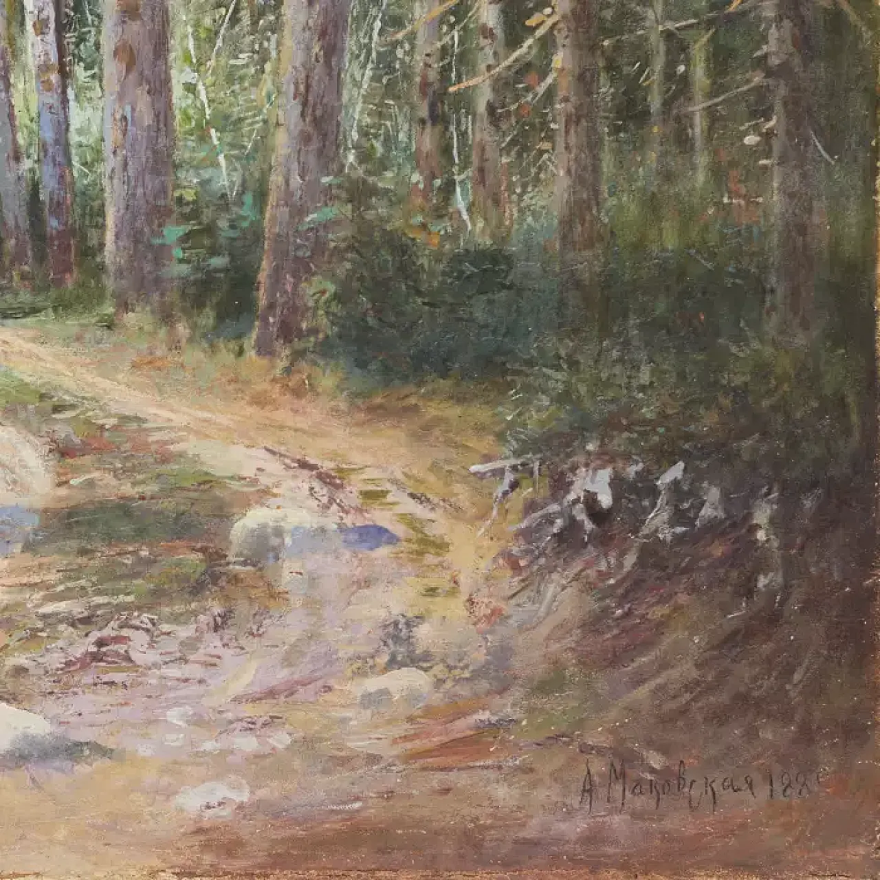 Strada forestale paesaggistica, '800 5
