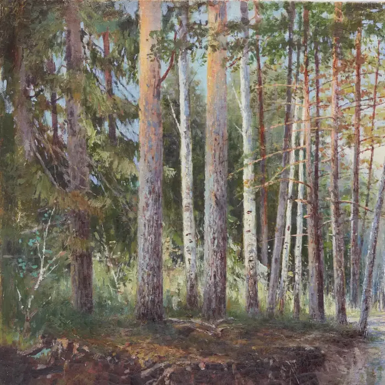 Strada forestale paesaggistica, '800 6
