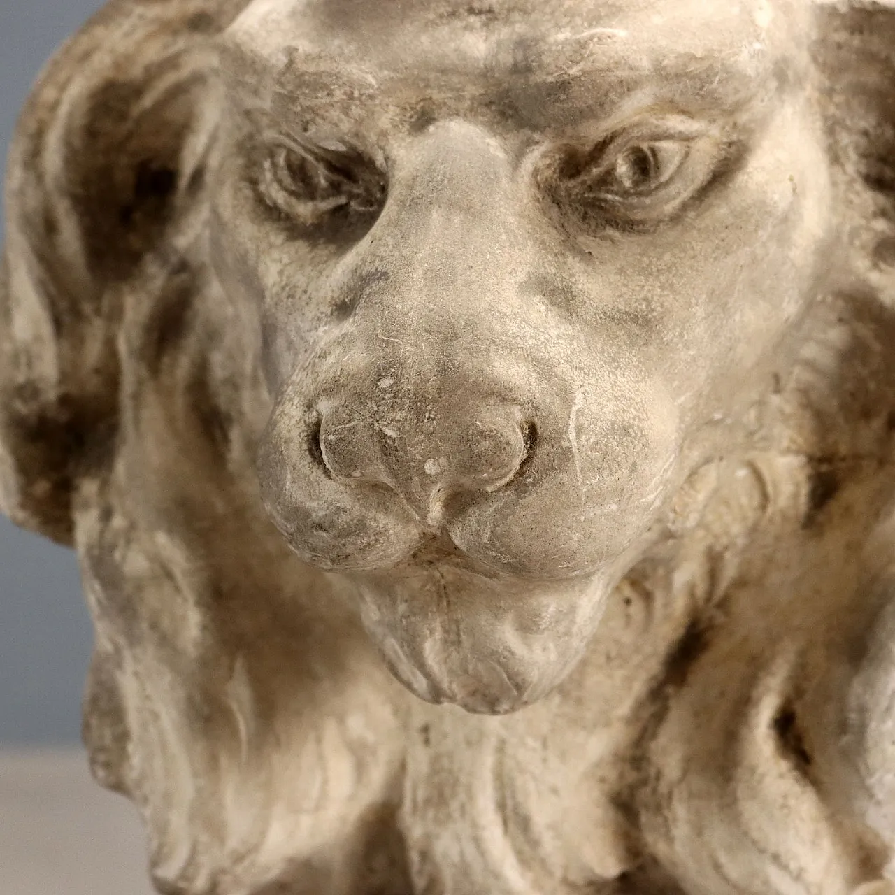 Plaster sculpture depicting a seated lion, 19th century 5