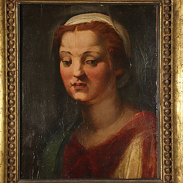 Testa femminile alla maniera di Andrea del Sarto, tempera su tavola, '500