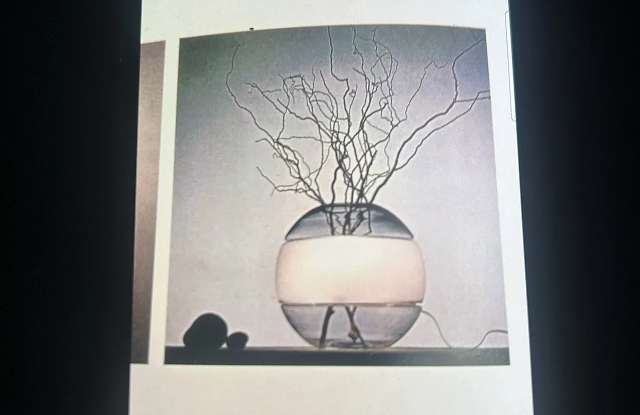 Flower holder model table lamp by Carlo Nason for Mazzega, 1970s 12