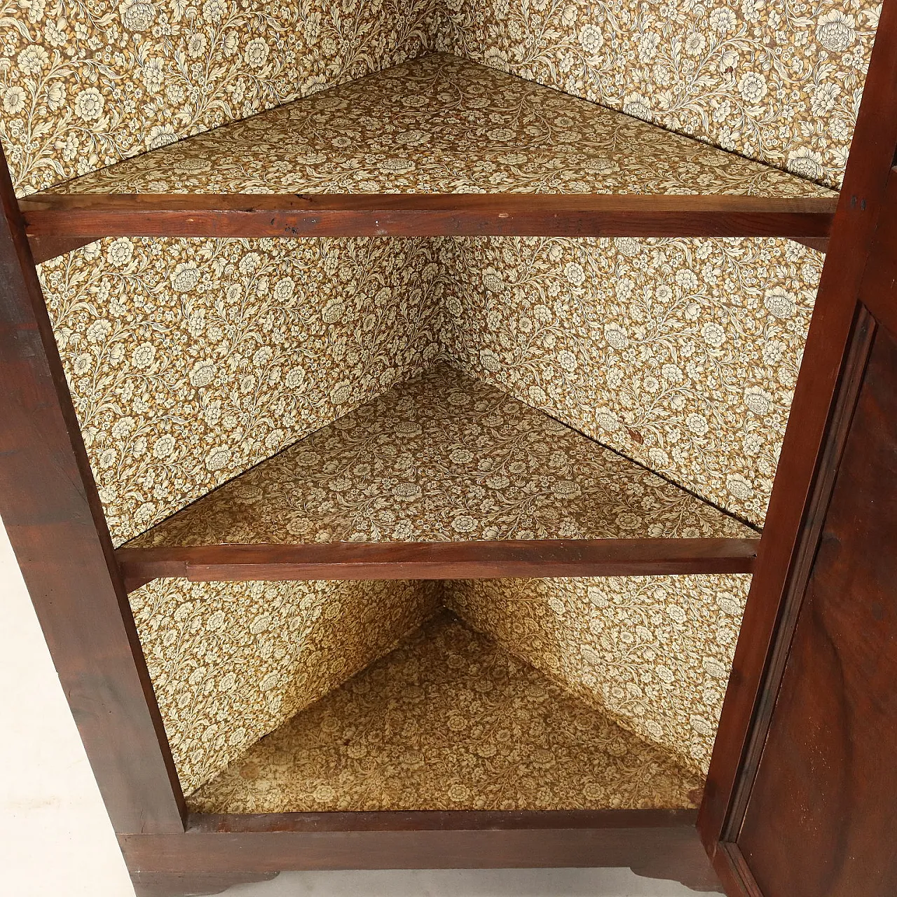 Corner cabinet in walnut and oak with woods, 20th century 4