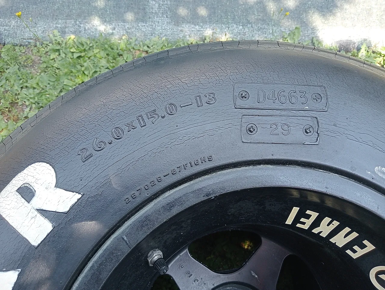 Minardi M193B/M194 F1 Wheel Driver:Michele Alboreto,  Imola 1994 7