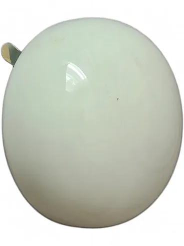 Plafon belga vintage, anni '70