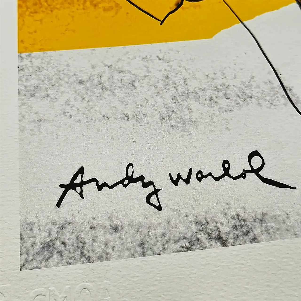 Andy Warhol, litografia Skull in edizione limitata di CMOA, anni '80 3