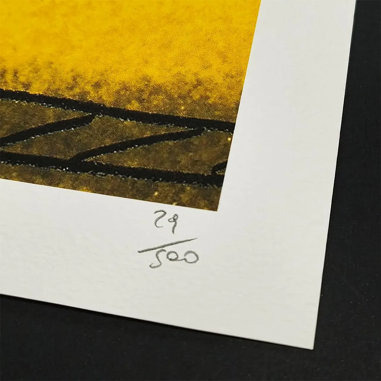 Andy Warhol, litografia Skull in edizione limitata di CMOA, anni '80 4