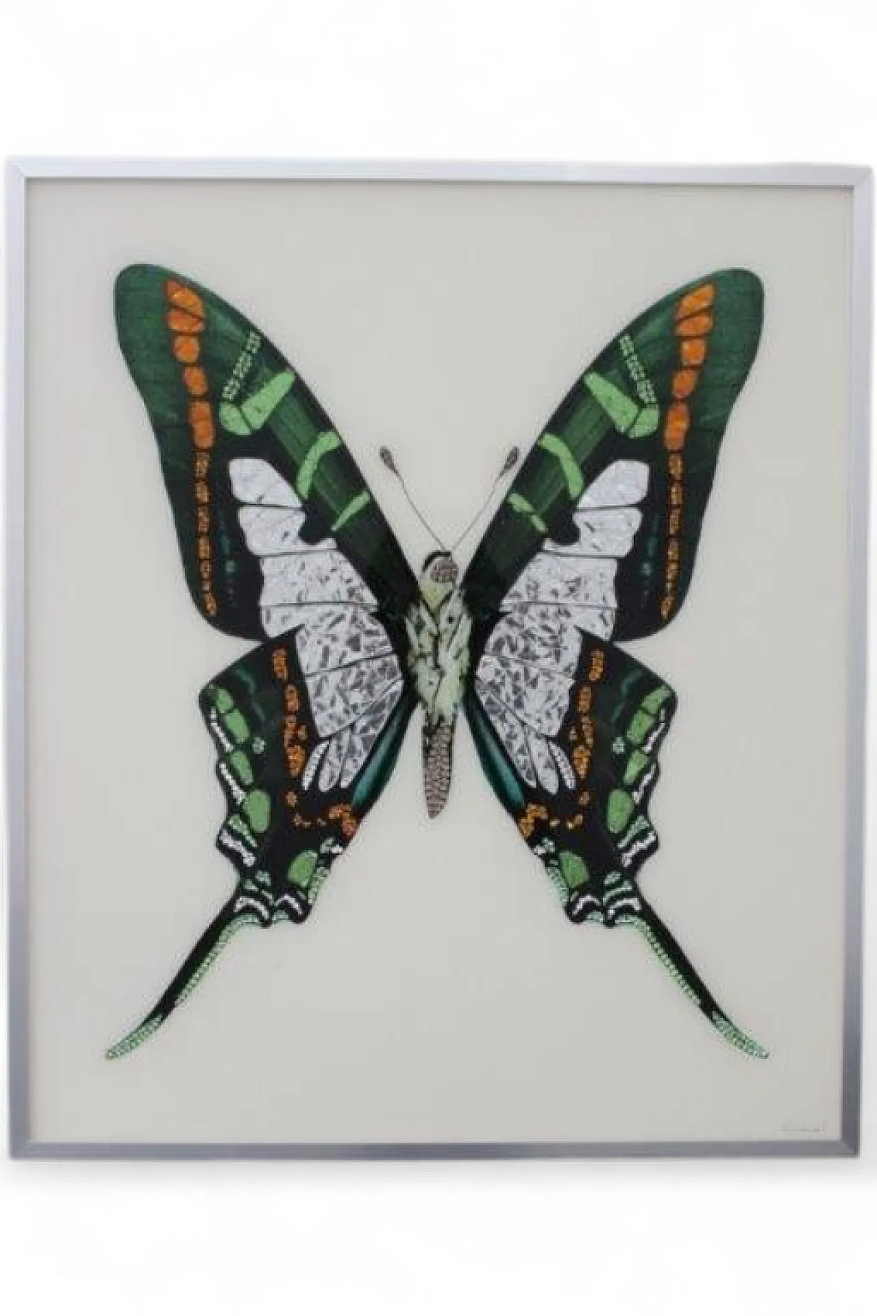Michele Astolfi, Green Butterfly, 2000s, Mixed Media, Framed 6