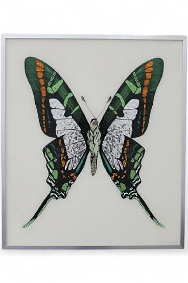 Michele Astolfi, Green Butterfly, 2000s, Mixed Media, Framed