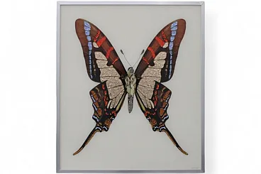 Michele Astolfi, Red Butterfly, 2000s, Mixed Media, Framed