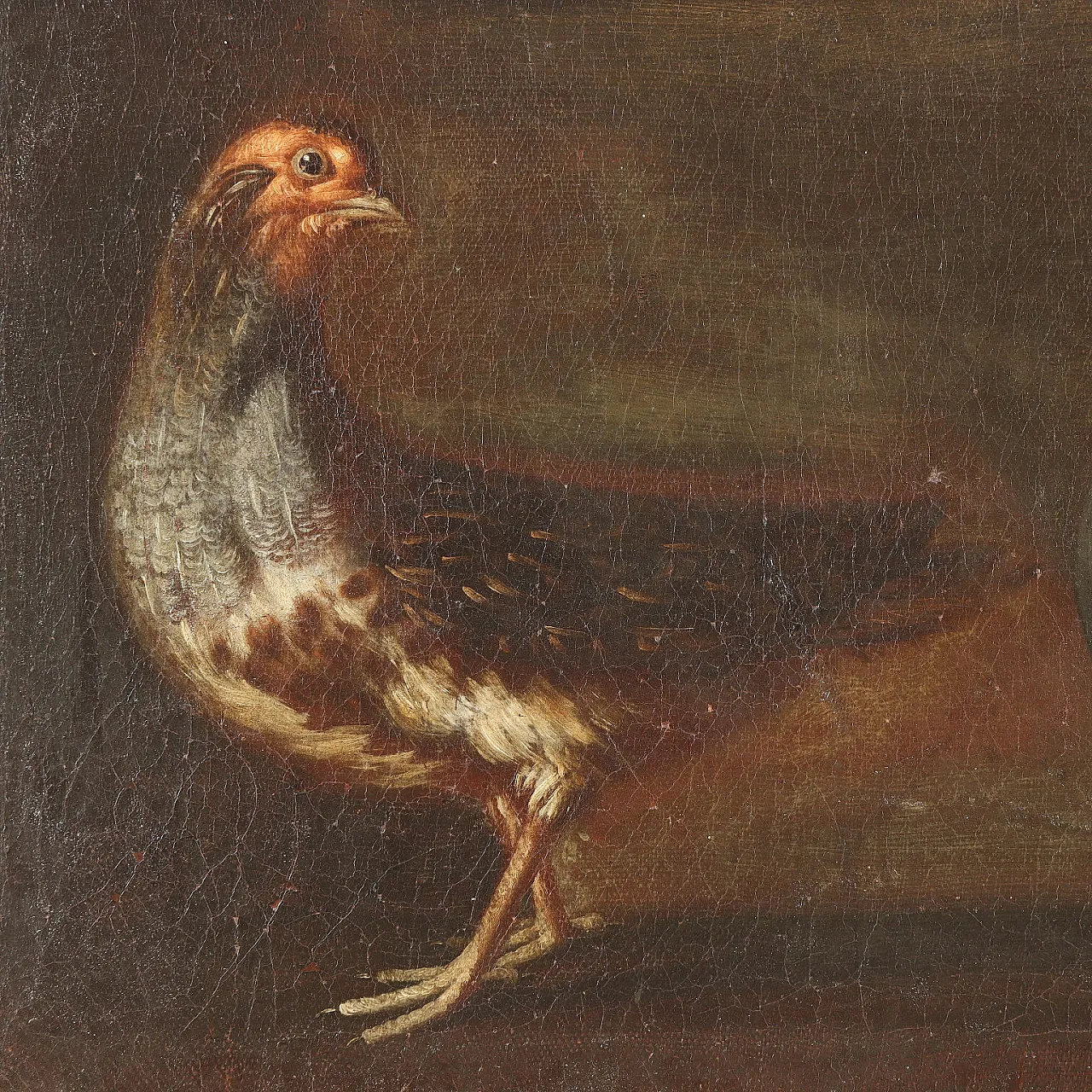 Painting by Sinibaldo Scorza, 17th century 5