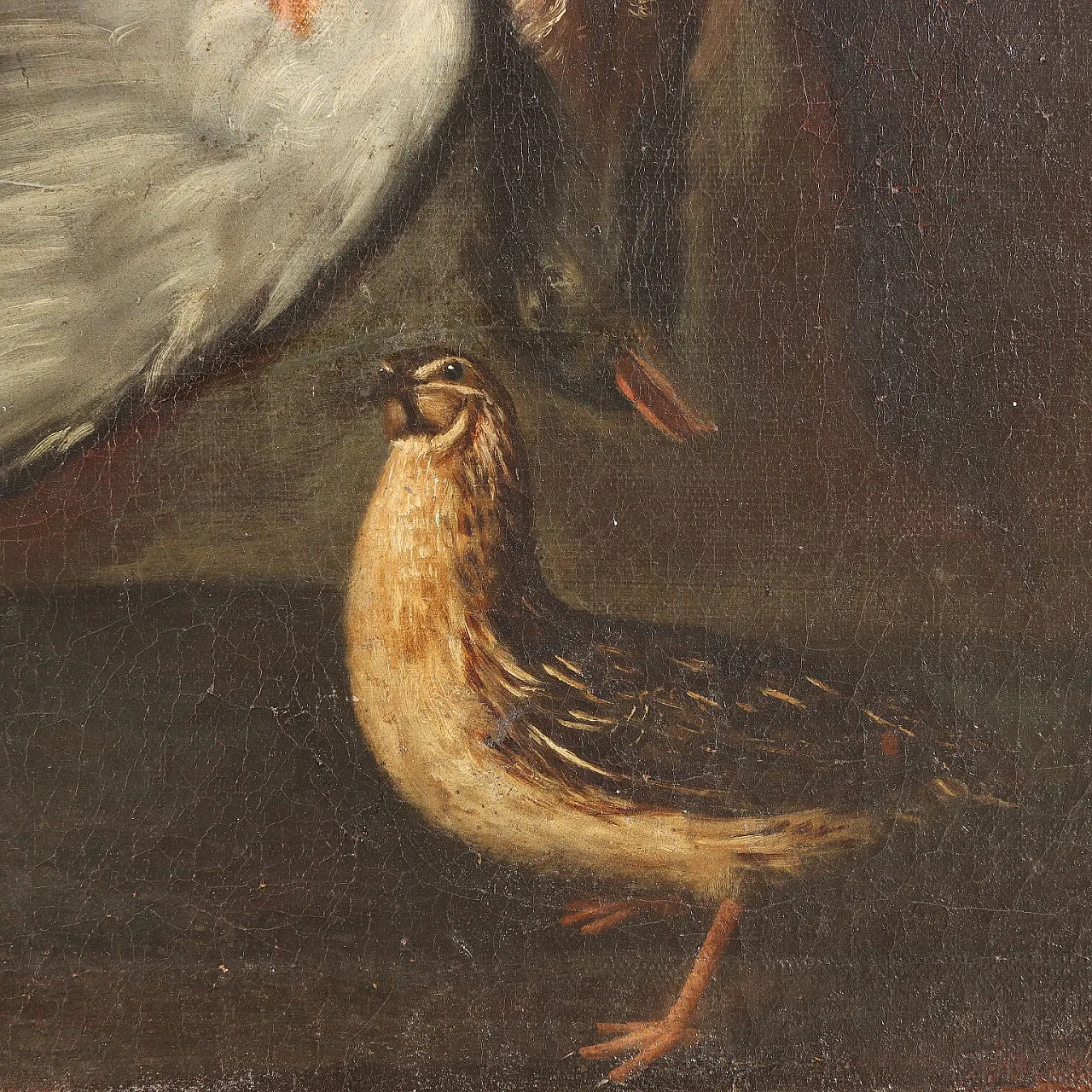 Painting by Sinibaldo Scorza, 17th century 6