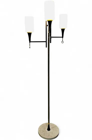 Vintage opal glass floor lamp, 1960s