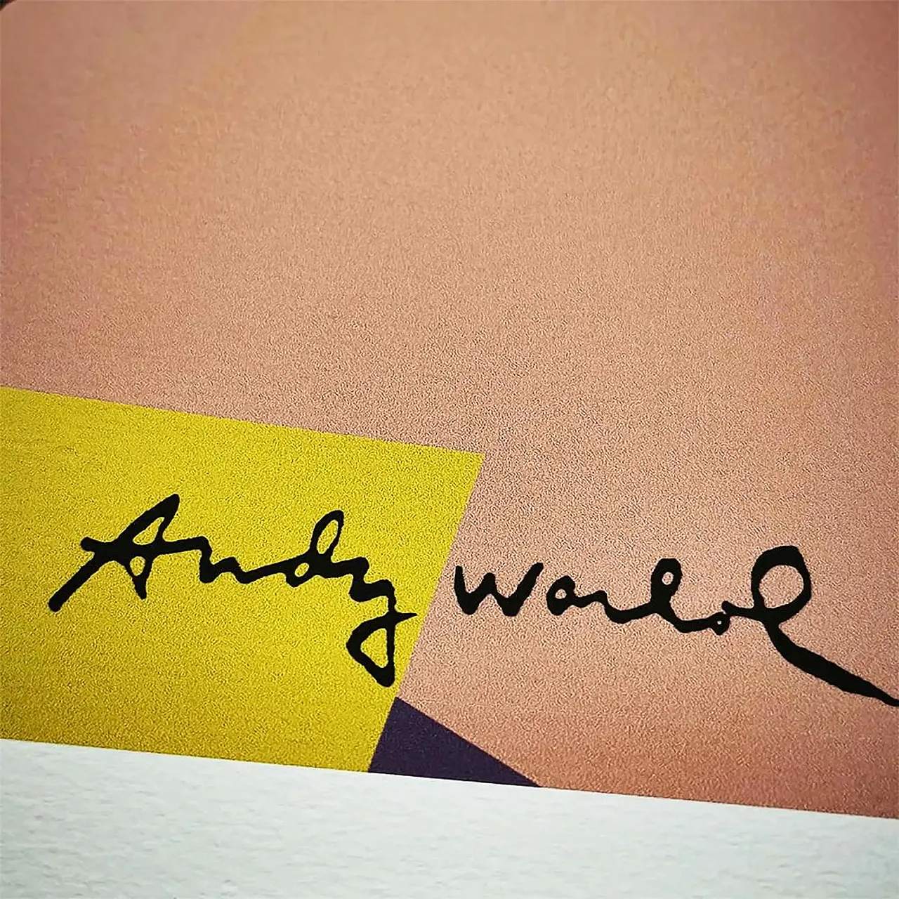 Andy Warhol, Elvis Presley limited edition lithograph by CMOA, 1980s 3