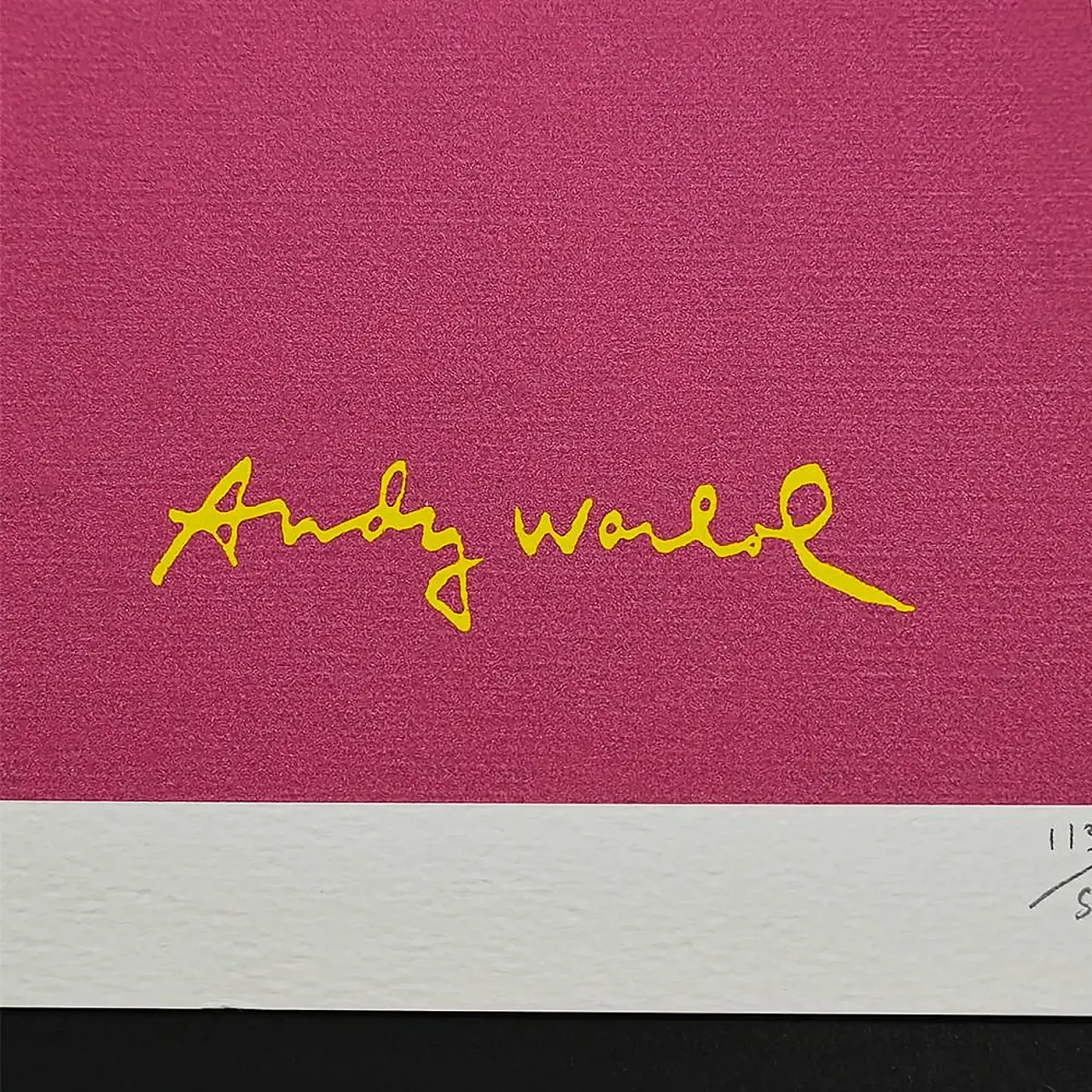 Andy Warhol, Beetle limited edition lithograph by CMOA, 1980s 3