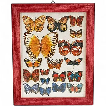 Grafico a forma di farfalla, anni '80