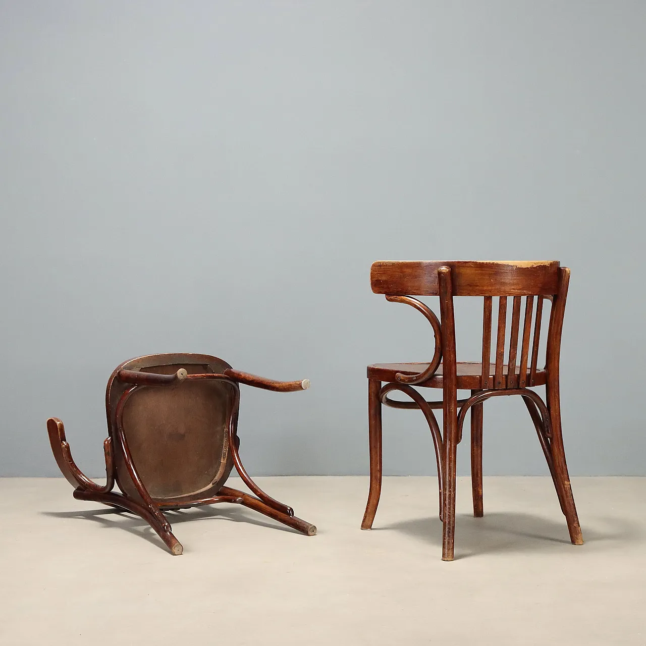 Coppia di poltroncine Thonet in faggio ricurvo, primo '900 8
