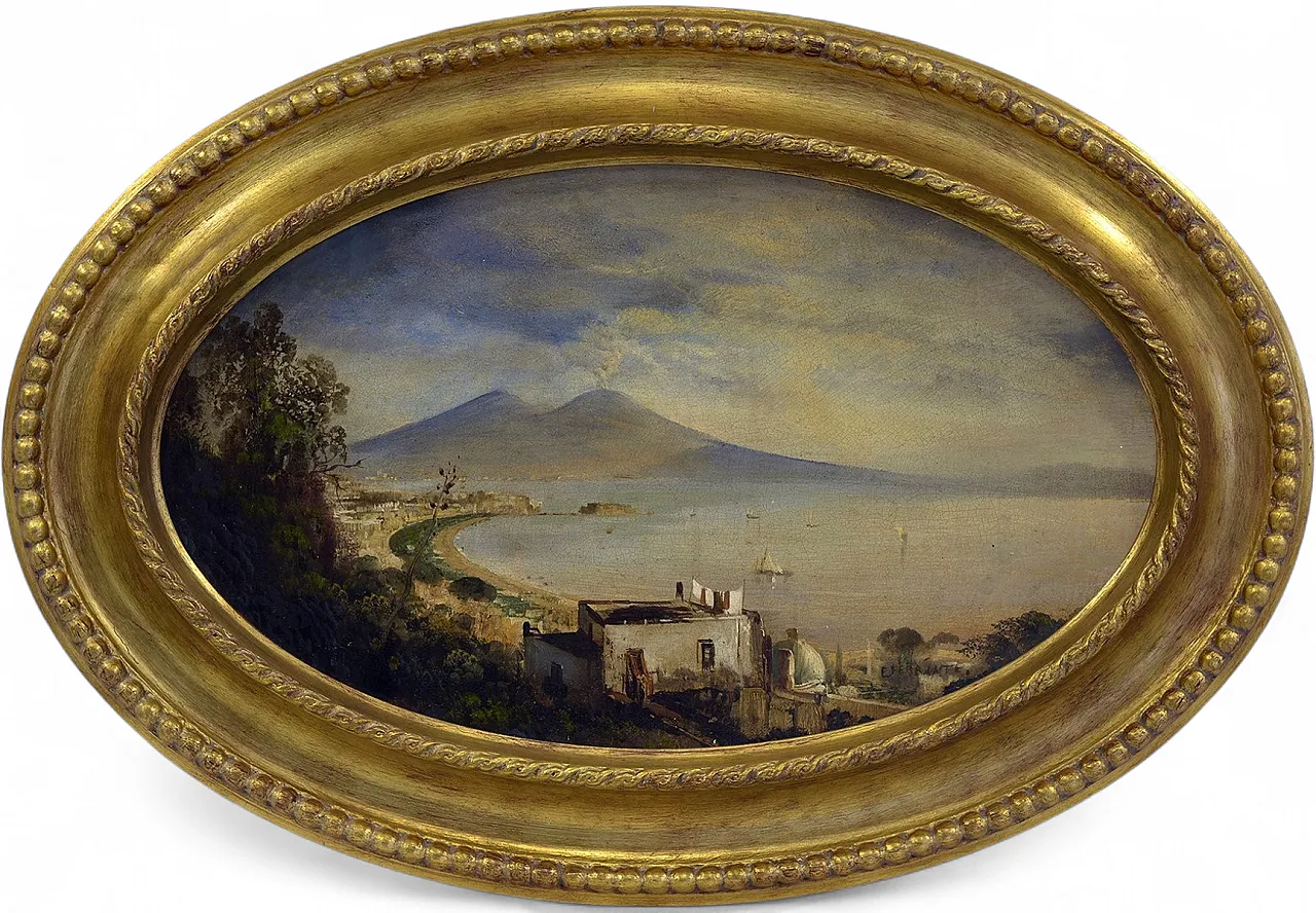 Ettore Ferrante, Veduta del Vesuvio, olio su tela, '800 7