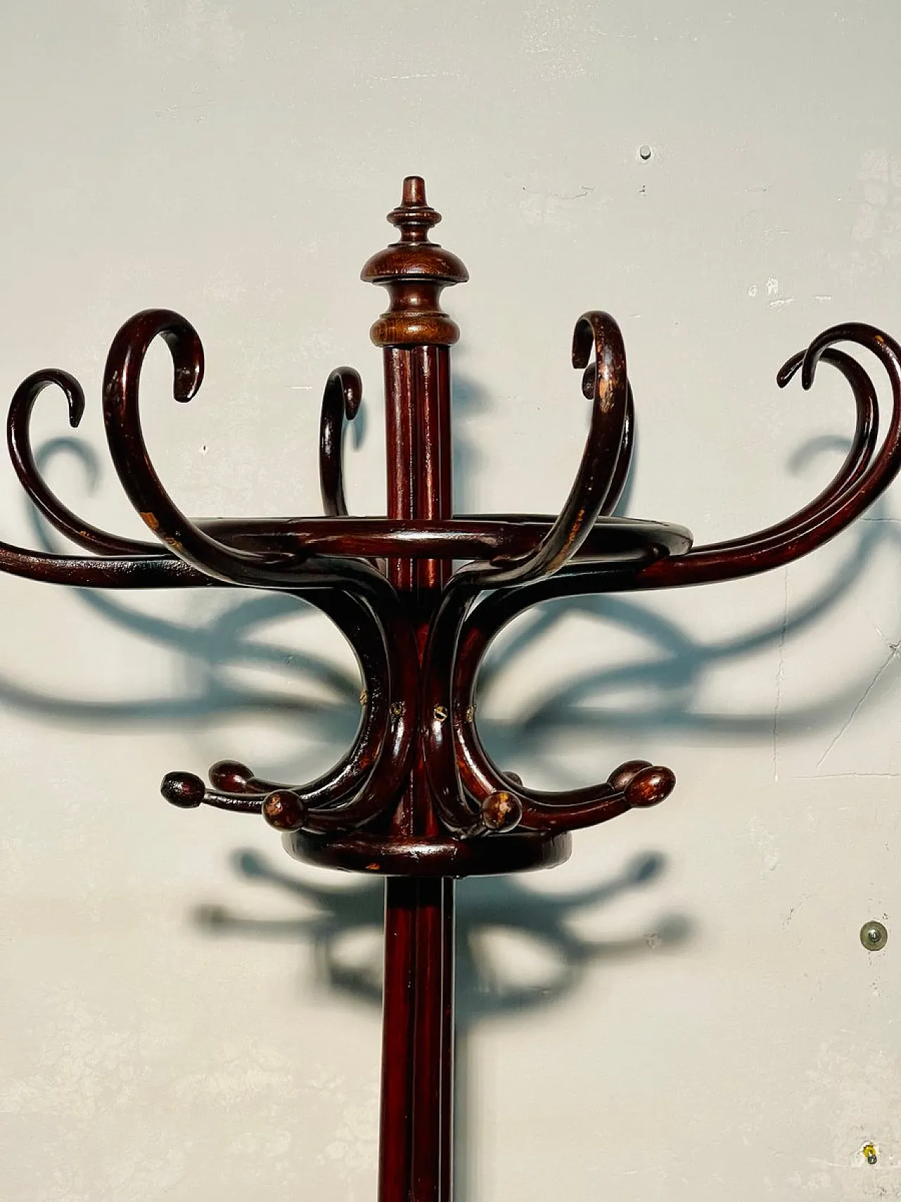 Appendiabiti Art Nouveau in faggio marrone 3