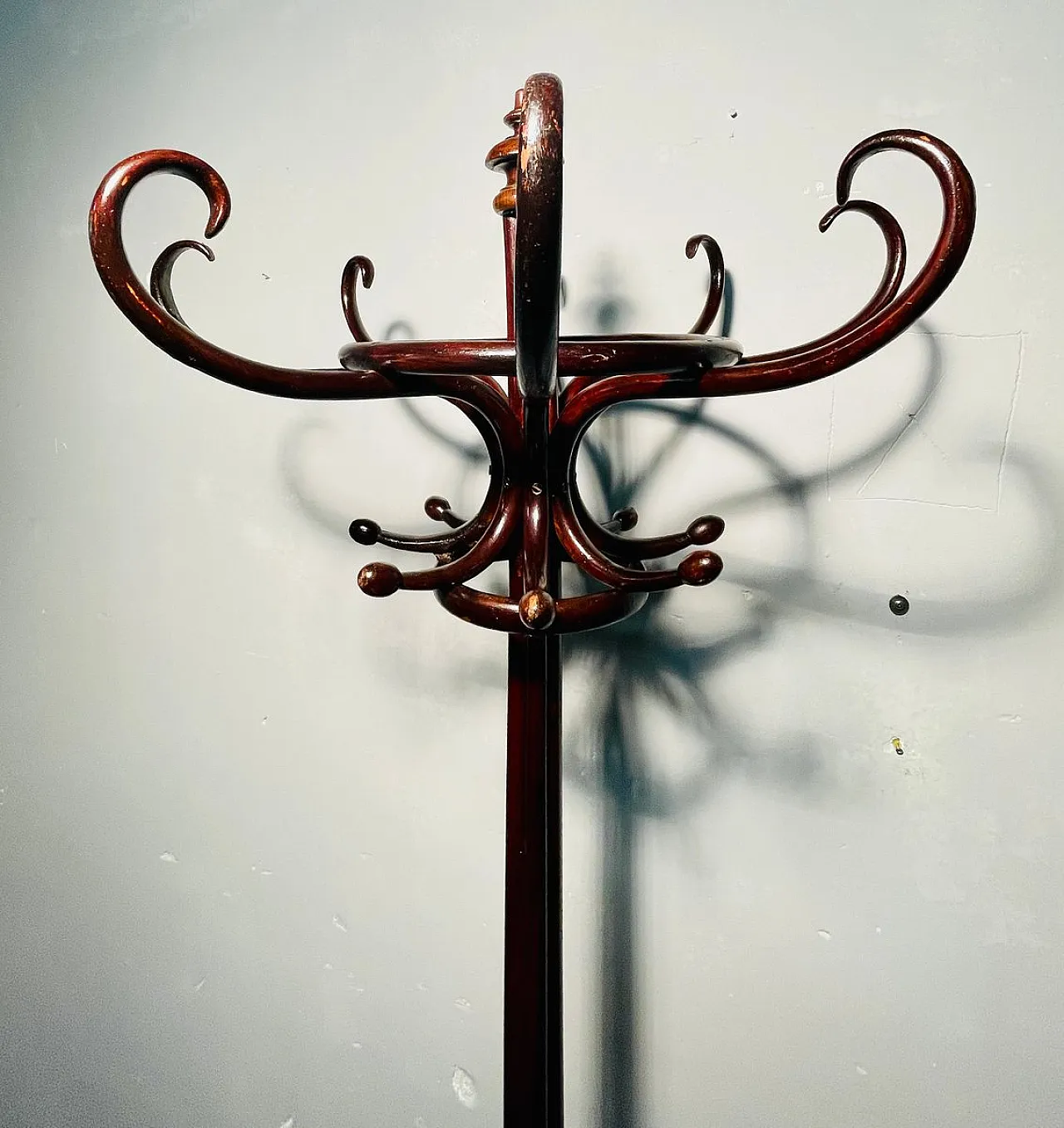 Appendiabiti Art Nouveau in faggio marrone 4
